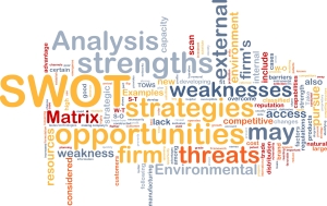 Artist SWOT Analysis by Lake Oswego Consulting Group